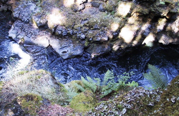 The Stream by HastyWords