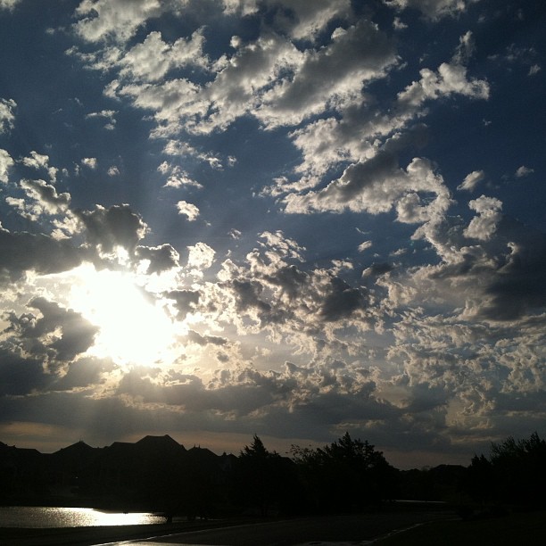 Copy of 8d0edf0cb96c11e2844022000a1f9adf_7