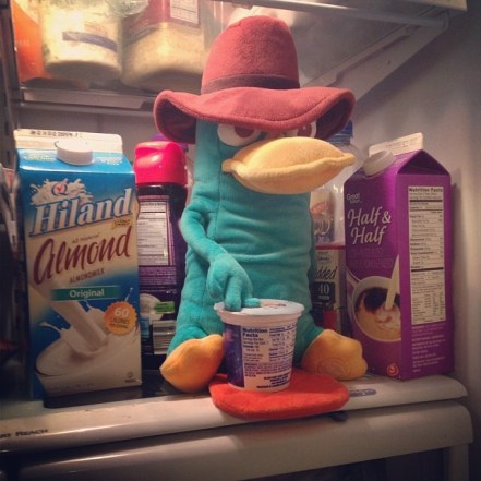 d94272545cef11e3a200127e98f673e6_8