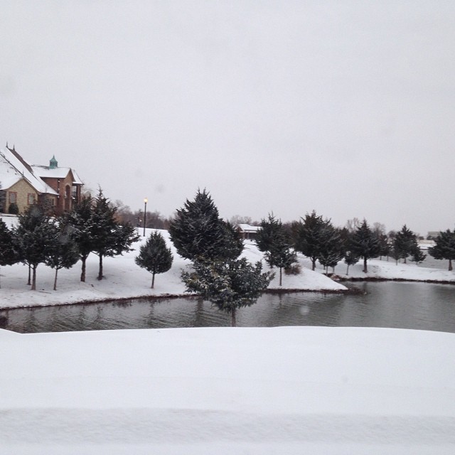 ea8b0e7a5dff11e3a33e1264bd1e5b12_8