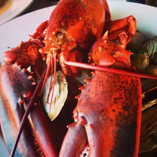 10362183_536345369803146_950835775_a